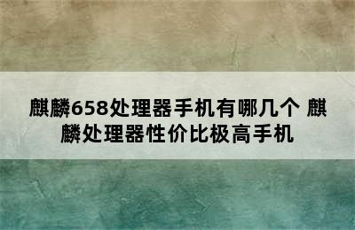 麒麟658处理器手机有哪几个 麒麟处理器性价比极高手机